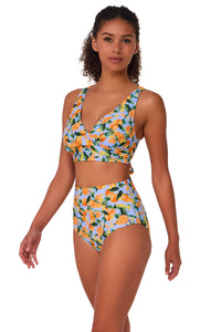 Sunsets Clementine Hannah High Waist Bottom