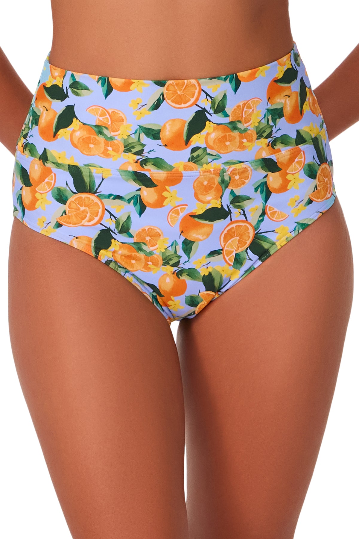 Sunsets Clementine Hannah High Waist Bottom