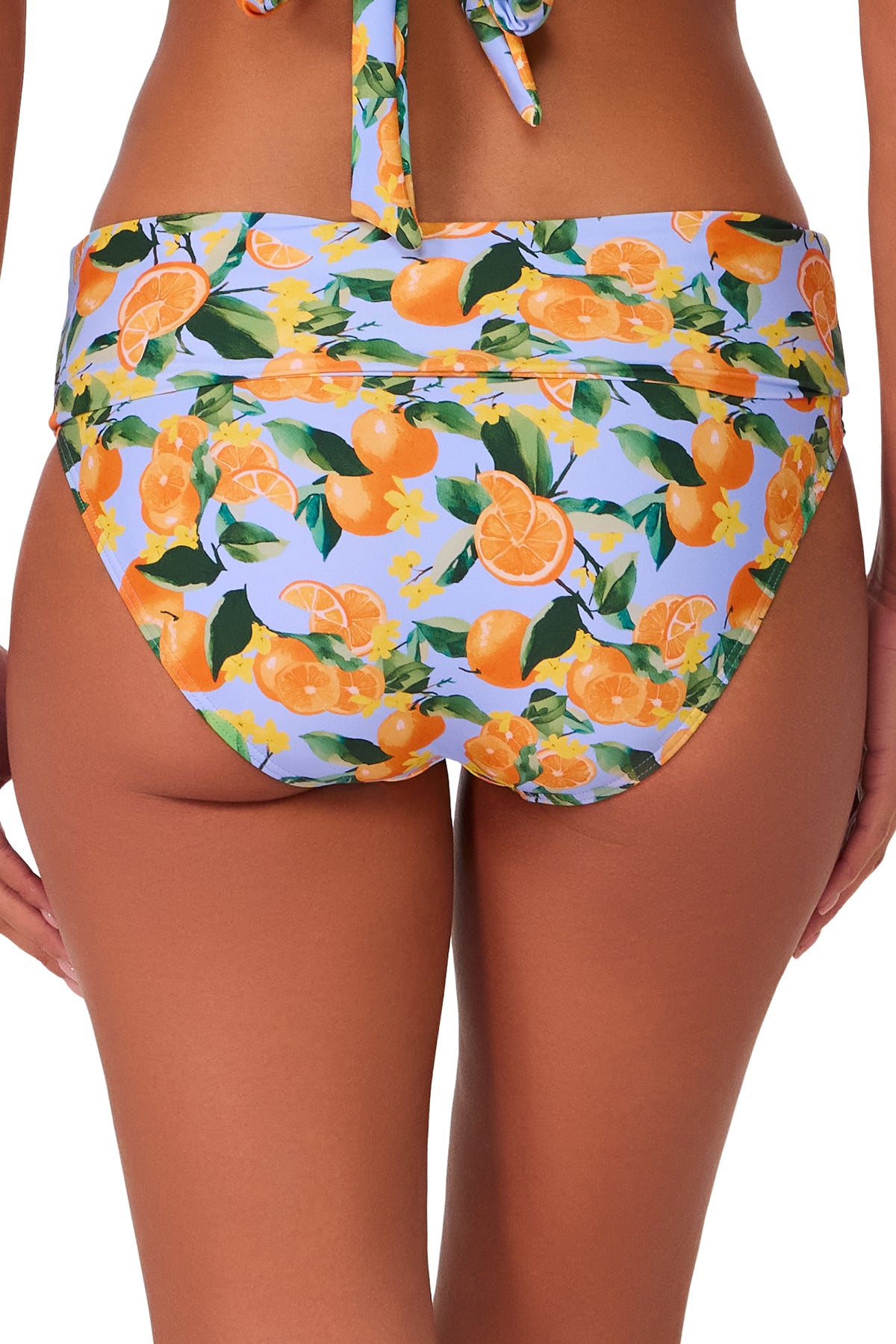 Sunsets Clementine Hannah High Waist Bottom