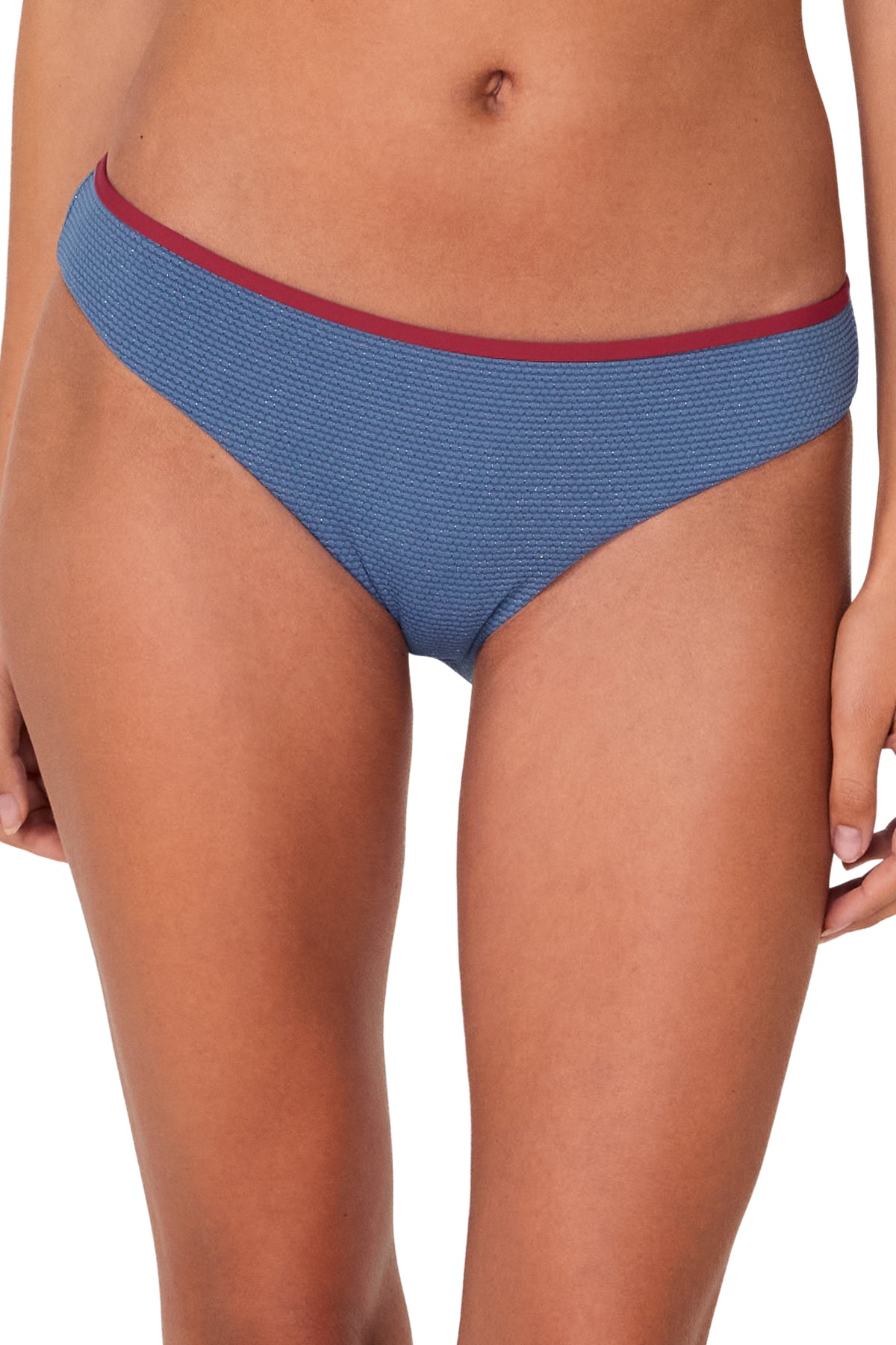 Swim Systems Banner Blue Lurex Berkeley Hipster Bottom