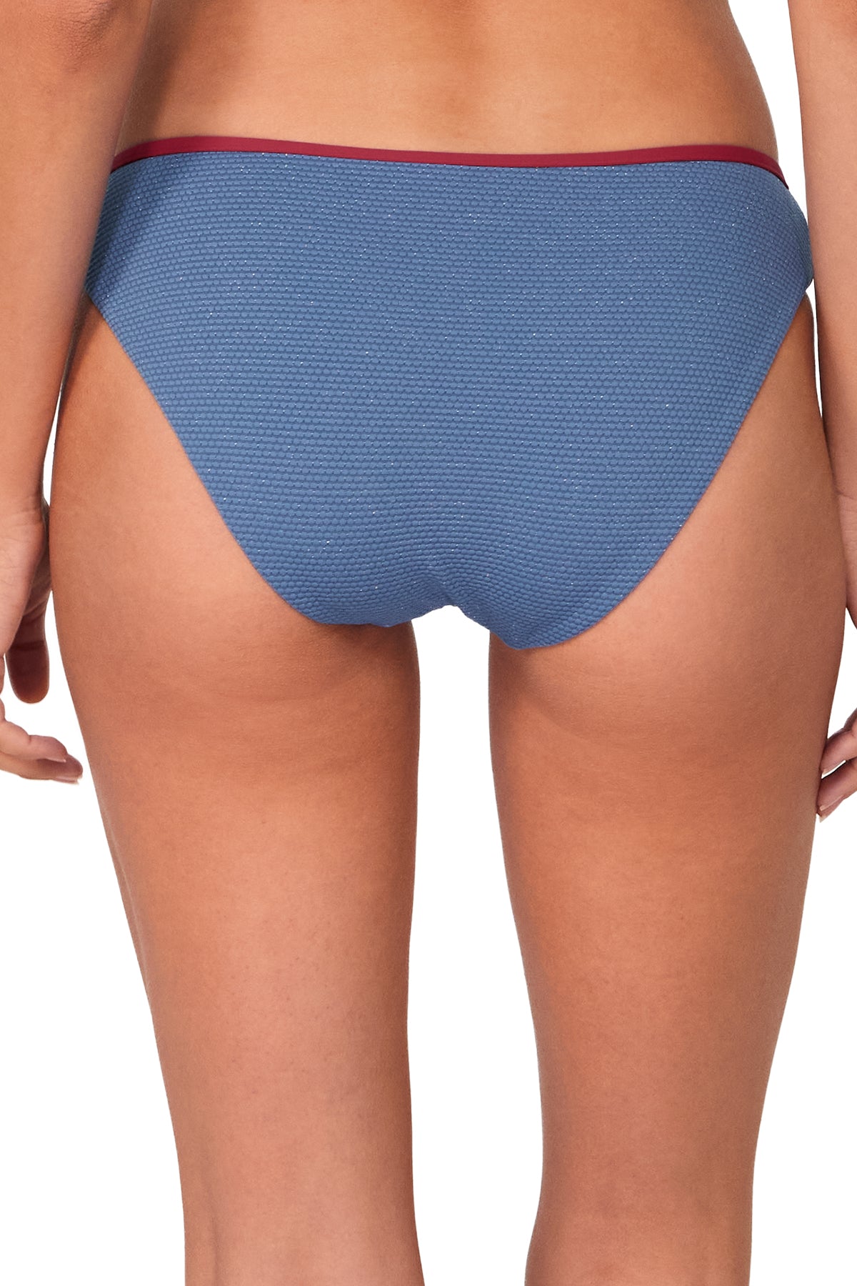 Swim Systems Banner Blue Lurex Berkeley Hipster Bottom